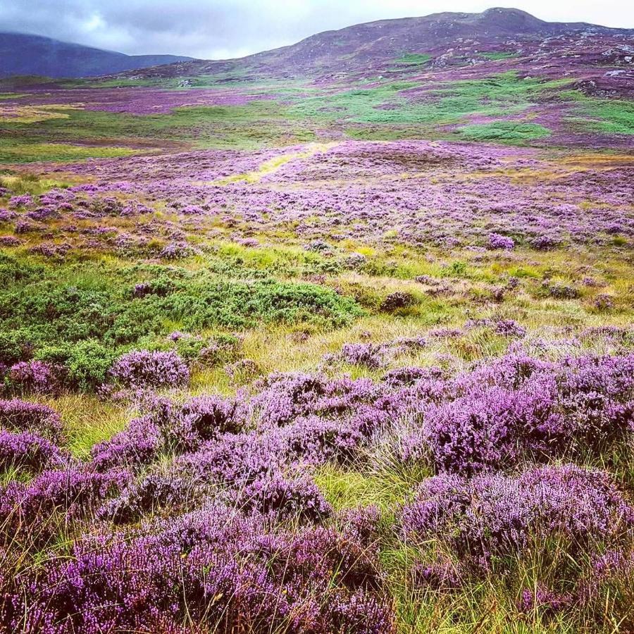 Baltinna East - By Where Stags Roar Newtonmore Eksteriør bilde